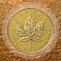 Gold Bullion Coins